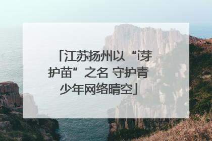 江苏扬州以“i芽护苗”之名 守护青少年网络晴空