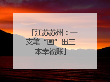 江苏苏州：一支笔“画”出三本幸福账