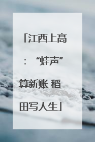 江西上高：“蛙声”算新账 稻田写人生
