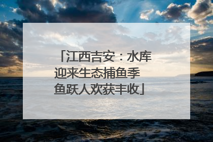江西吉安：水库迎来生态捕鱼季 鱼跃人欢获丰收