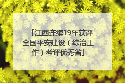 江西连续19年获评全国平安建设（综治工作）考评优秀省
