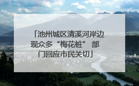 池州城区清溪河岸边现众多“梅花桩” 部门回应市民关切