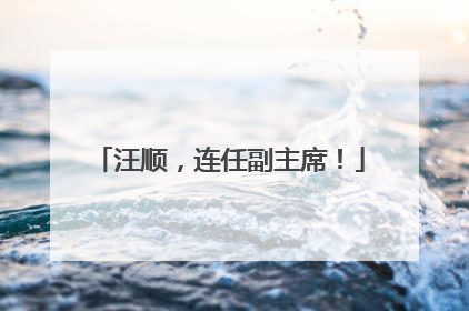 汪顺，连任副主席！
