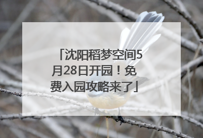 沈阳稻梦空间5月28日开园！免费入园攻略来了