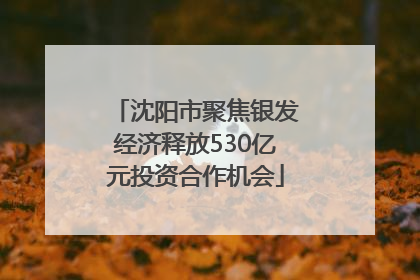 沈阳市聚焦银发经济释放530亿元投资合作机会