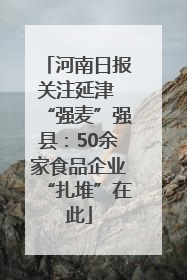 河南日报关注延津 “强麦”强县：50余家食品企业“扎堆”在此