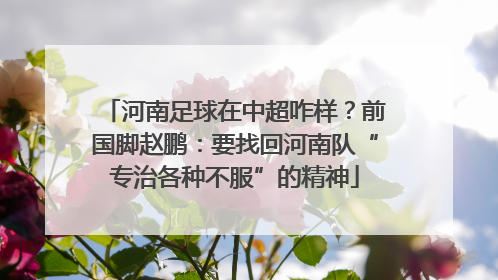 河南足球在中超咋样？前国脚赵鹏：要找回河南队“专治各种不服”的精神