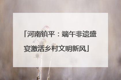 河南镇平：端午非遗盛宴激活乡村文明新风