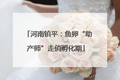 河南镇平：鱼卵“助产师”走俏孵化期