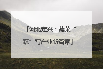 河北定兴：蔬菜“蔬”写产业新篇章