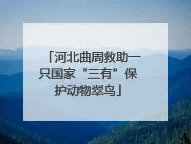 河北曲周救助一只国家“三有”保护动物翠鸟