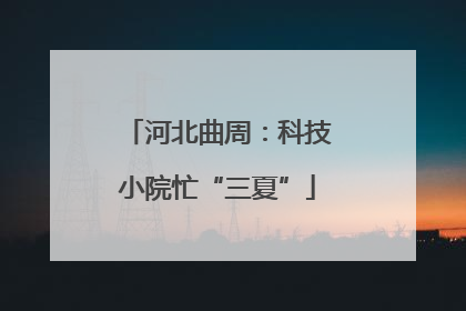 河北曲周：科技小院忙“三夏”