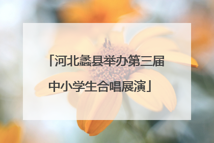河北蠡县举办第三届中小学生合唱展演