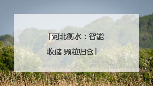 河北衡水：智能收储 颗粒归仓