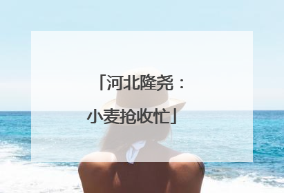 河北隆尧：小麦抢收忙