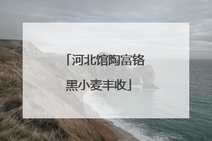 河北馆陶富铬黑小麦丰收