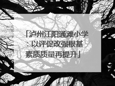 泸州江阳通滩小学：以评促改强根基 素质质量再提升