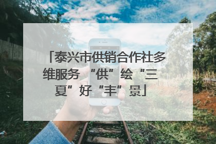 泰兴市供销合作社多维服务 “供”绘“三夏”好“丰”景