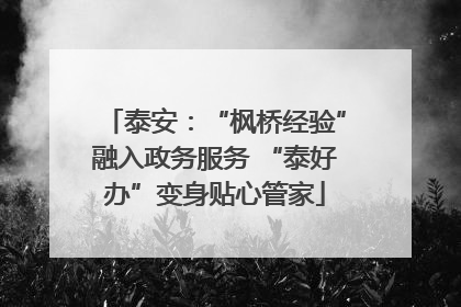 泰安：“枫桥经验”融入政务服务 “泰好办”变身贴心管家