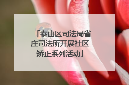 泰山区司法局省庄司法所开展社区矫正系列活动