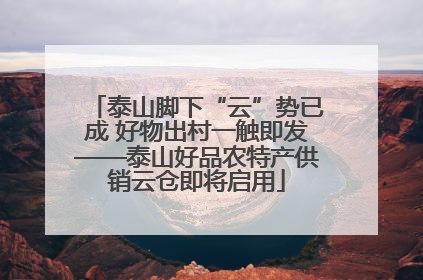 泰山脚下“云”势已成 好物出村一触即发——泰山好品农特产供销云仓即将启用