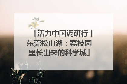 活力中国调研行丨东莞松山湖：荔枝园里长出来的科学城