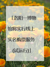 洛阳一博物馆将实行线上实名购票服务(试运行)