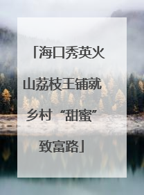海口秀英火山荔枝王铺就乡村“甜蜜”致富路