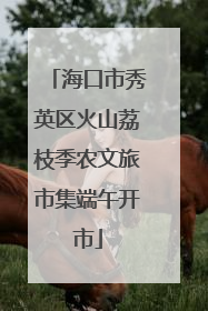 海口市秀英区火山荔枝季农文旅市集端午开市