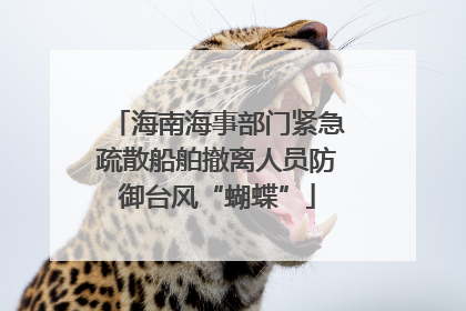 海南海事部门紧急疏散船舶撤离人员防御台风“蝴蝶”