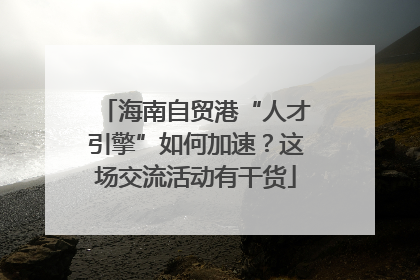 海南自贸港“人才引擎”如何加速？这场交流活动有干货