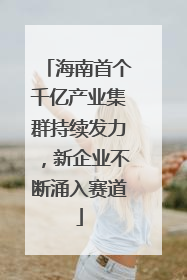 海南首个千亿产业集群持续发力，新企业不断涌入赛道