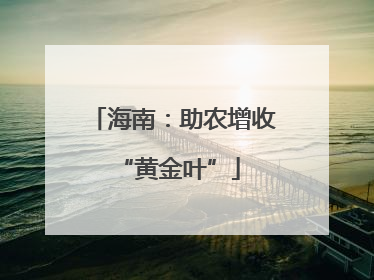 海南：助农增收 “黄金叶”