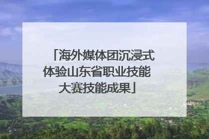 海外媒体团沉浸式体验山东省职业技能大赛技能成果