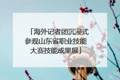 海外记者团沉浸式参观山东省职业技能大赛技能成果展