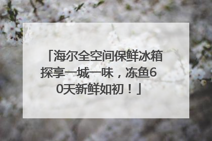 海尔全空间保鲜冰箱探享一城一味，冻鱼60天新鲜如初！