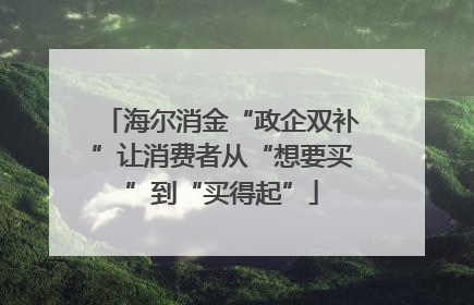 海尔消金“政企双补”让消费者从“想要买”到“买得起”