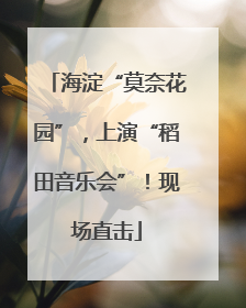 海淀“莫奈花园”，上演“稻田音乐会”！现场直击