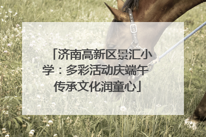 济南高新区景汇小学：多彩活动庆端午 传承文化润童心
