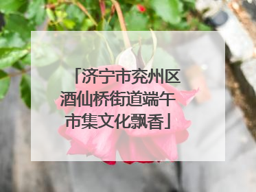 济宁市兖州区酒仙桥街道端午市集文化飘香