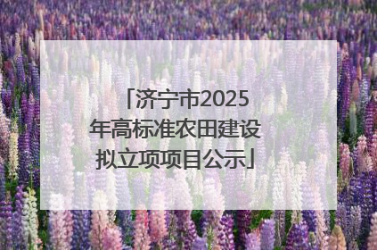 济宁市2025年高标准农田建设拟立项项目公示