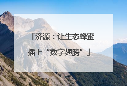 济源：让生态蜂蜜插上“数字翅膀”