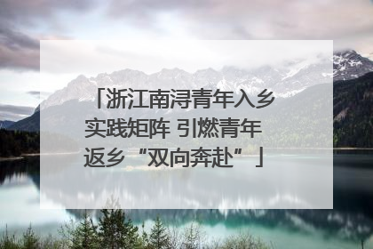 浙江南浔青年入乡实践矩阵 引燃青年返乡“双向奔赴”