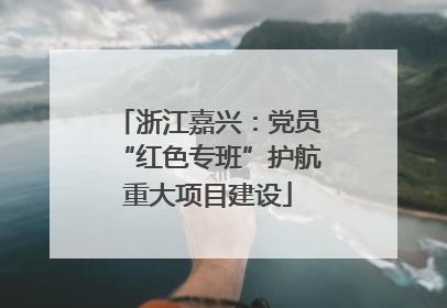 浙江嘉兴：党员“红色专班”护航重大项目建设