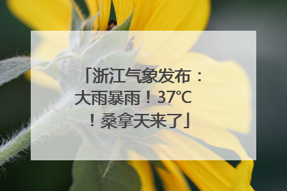 浙江气象发布：大雨暴雨！37℃！桑拿天来了
