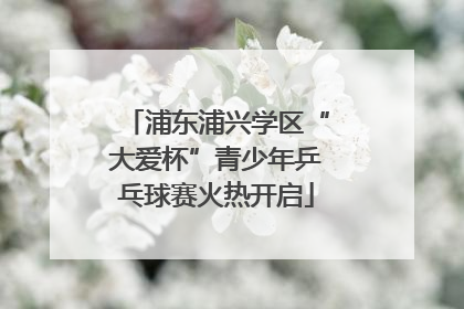浦东浦兴学区“大爱杯”青少年乒乓球赛火热开启