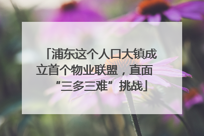 浦东这个人口大镇成立首个物业联盟，直面“三多三难”挑战