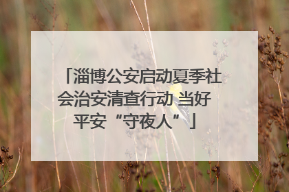 淄博公安启动夏季社会治安清查行动 当好平安“守夜人”