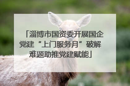 淄博市国资委开展国企党建“上门服务月”破解难题助推党建赋能