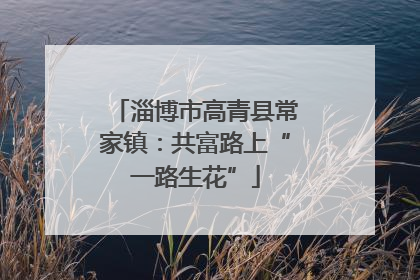淄博市高青县常家镇：共富路上“一路生花”